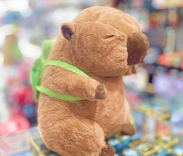 عروسک پولیشی اورجینال کاپی بارا 36 سانتی با کیف لاکپشت_اسباب بازی عروسک دخترانه