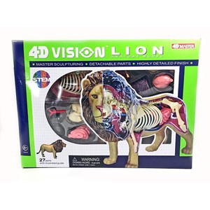 پک ساخت آناتومی بدن شیر مدل 4D Master - Lion Anatomy Model_اسباب بازی علمی