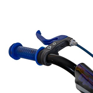 دوچرخه پسرانه لاودیس سایز 12 آبی مدل ZR12131 laodis_اسباب بازی دوچرخه
