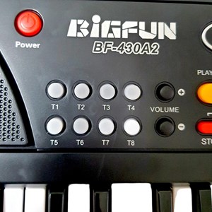 اسباب بازی آموزشی ارگ بیگفان 37 کلید مدل BF_430A2_اسباب بازی موسیقی