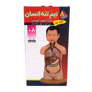 مولاژ نیم تنه انسان مدل عروسکی 8 قسمتی_اسباب بازی علمی