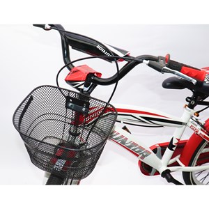 دوچرخه اورجینال کودک سایز 20 طرح دختر کفشدوزکی و گربه سیاه مدل جونیور JUNIOR_اسباب بازی دوچرخه