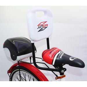 دوچرخه اورجینال کودک سایز 20 طرح دختر کفشدوزکی و گربه سیاه مدل جونیور JUNIOR_اسباب بازی دوچرخه