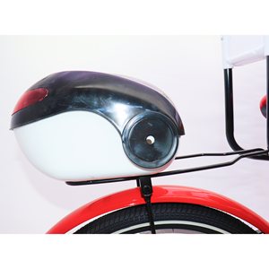 دوچرخه اورجینال کودک سایز 20 طرح دختر کفشدوزکی و گربه سیاه مدل جونیور JUNIOR_اسباب بازی دوچرخه