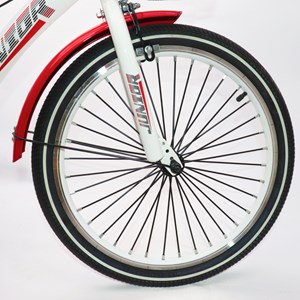 دوچرخه اورجینال کودک سایز 20 طرح دختر کفشدوزکی و گربه سیاه مدل جونیور JUNIOR_اسباب بازی دوچرخه