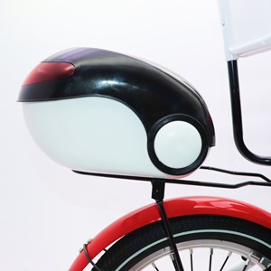 دوچرخه اورجینال کودک سایز 16 طرح دختر کفشدوزکی و گربه سیاه مدل جونیور JUNIOR_اسباب بازی دوچرخه