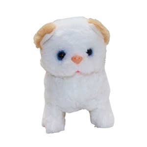 گربه خانگی به همراه قفس و وسایل آرایشی رنگ سفید کرم کد 1062_عروسک رباتیک