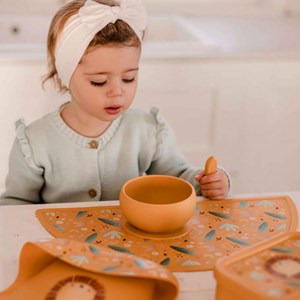 کاسه سیلیکونی طرح شیر ساسی Sassi
