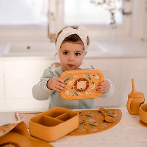 لانچ باکس سیلیکونی طرح شیر ساسی Sassi